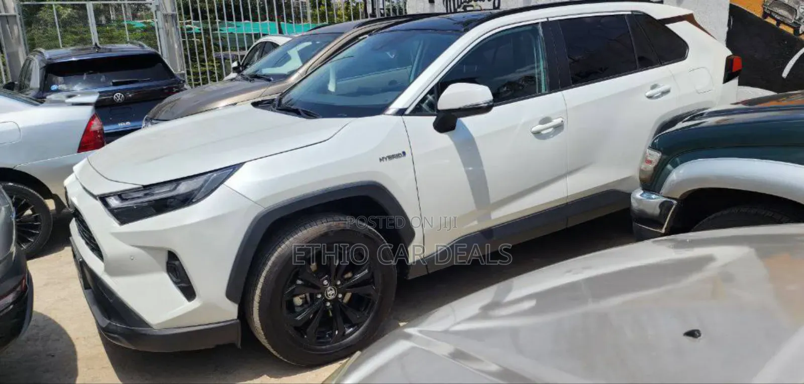New Toyota RAV4 2024 White