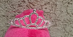 Photo - Crown and Headband