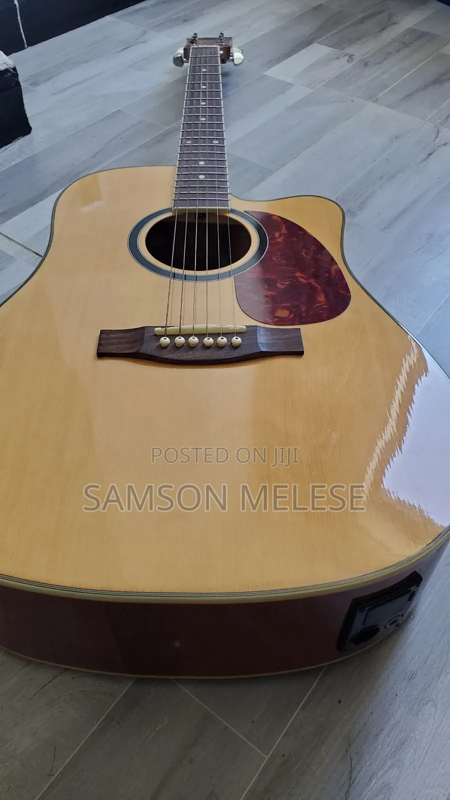 Siltron Guitar With Bag, Cable, Capo and Battery