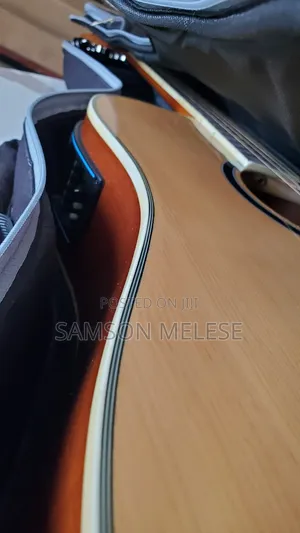 Siltron Guitar With Bag, Cable, Capo and Battery