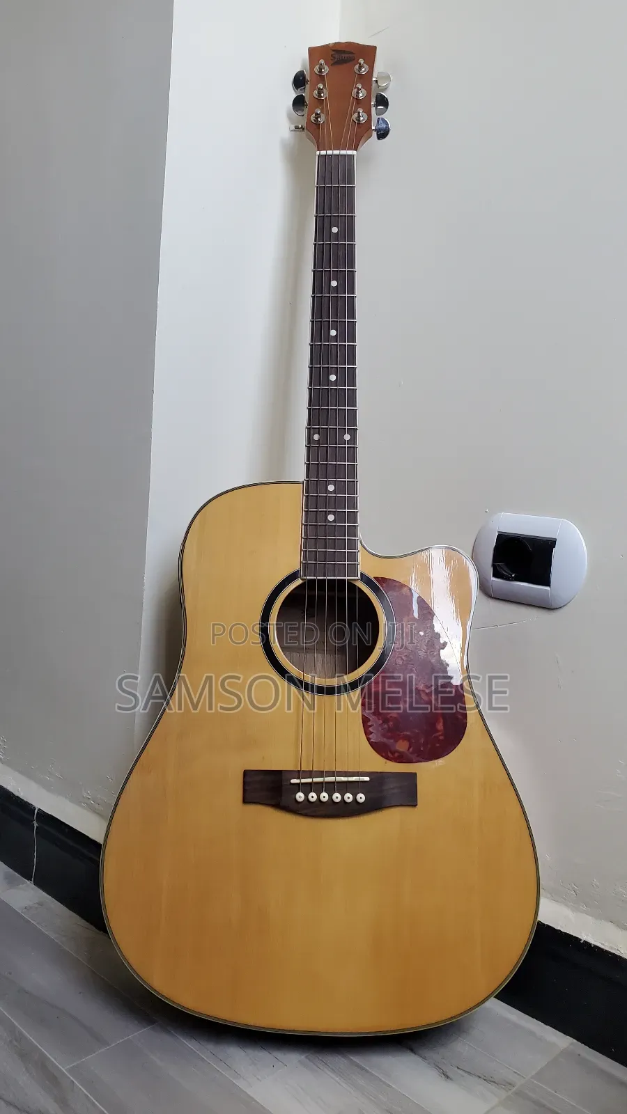 Siltron Guitar With Bag, Cable, Capo and Battery