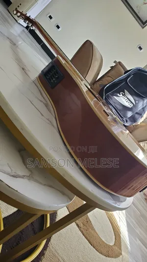 Siltron Guitar With Bag, Cable, Capo and Battery