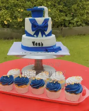 Graduation Cake and 12 Cupcakes