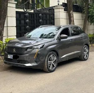 Photo - Peugeot 3008 2021 Gray