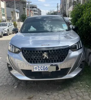 Photo - Peugeot 2008 2022 Silver