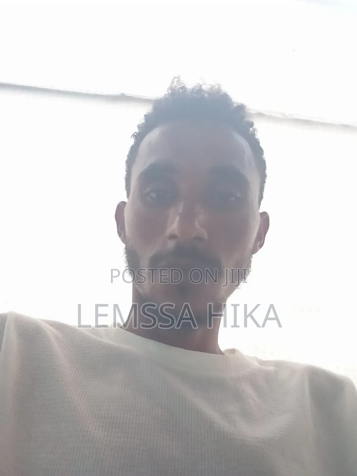 Marketing Adventures