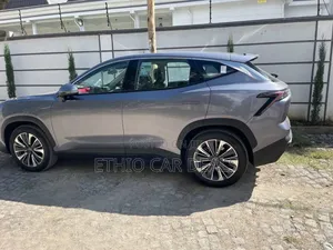 Photo - Jetour Dashing 2023 Gray