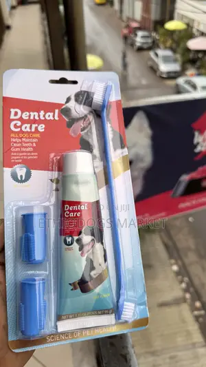 Dogs Dental  Care