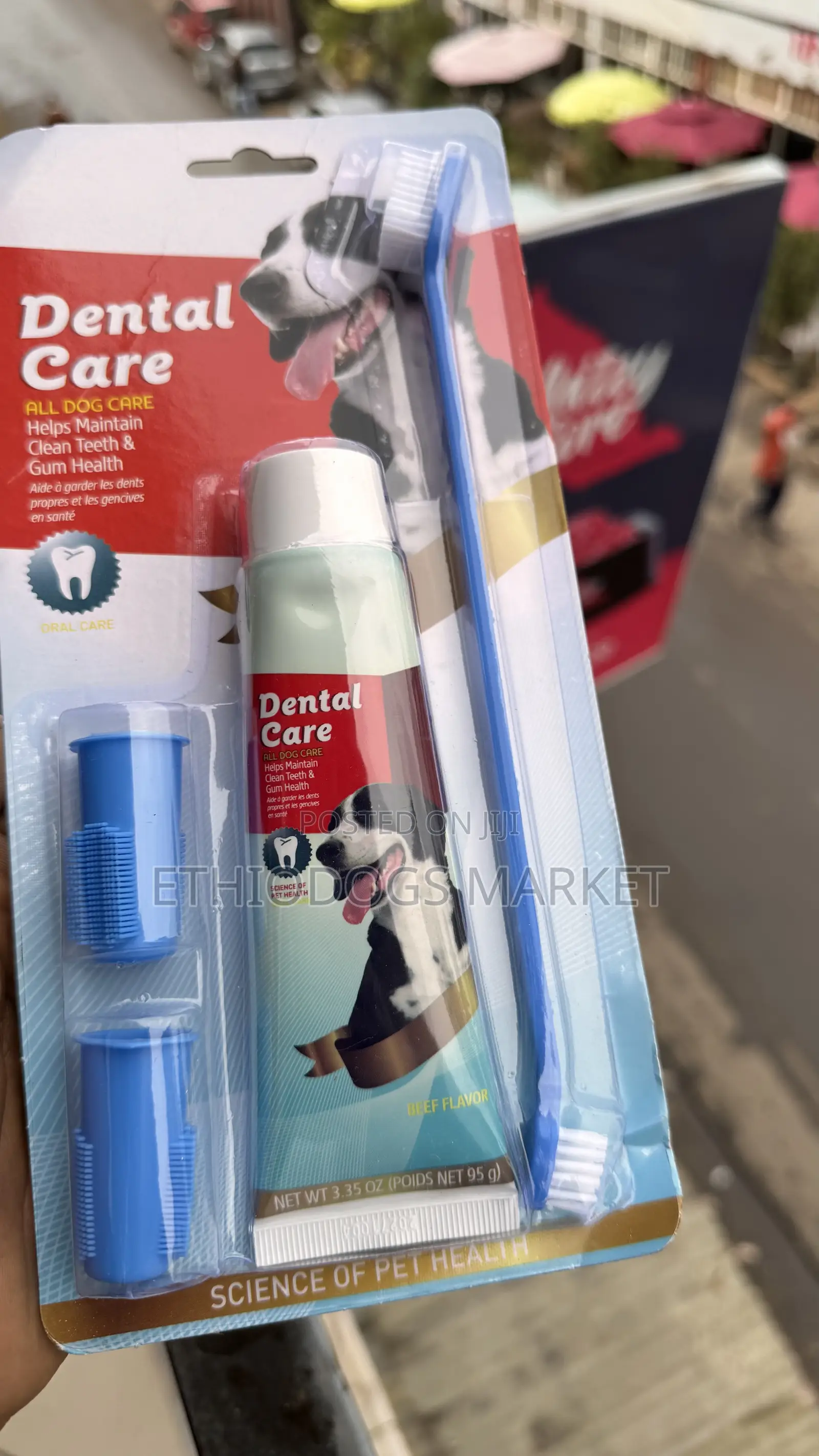 Dogs Dental  Care