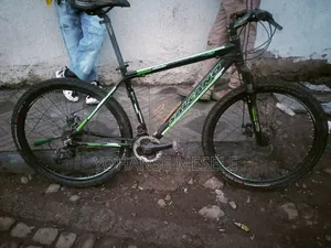 Arif Sicle Lemifalege