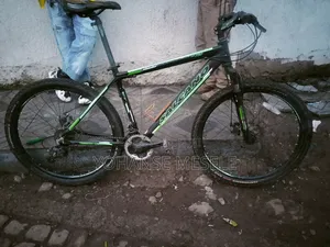 Arif Sicle Lemifalege