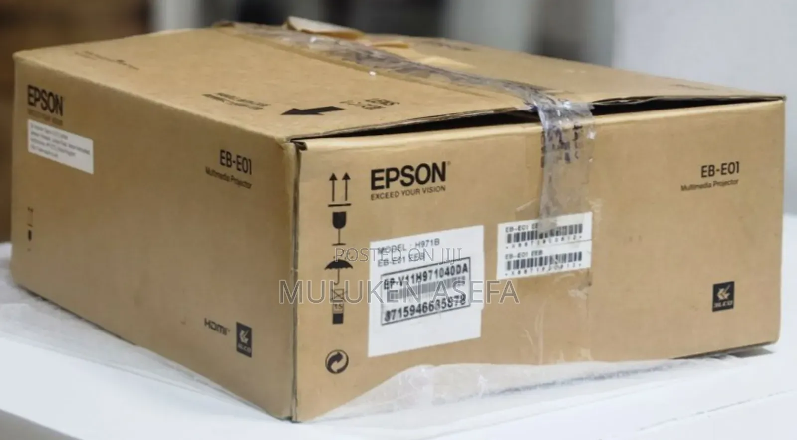 Epson Projector