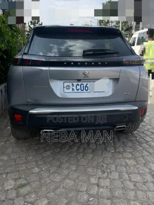Peugeot 2008 2022 Gray