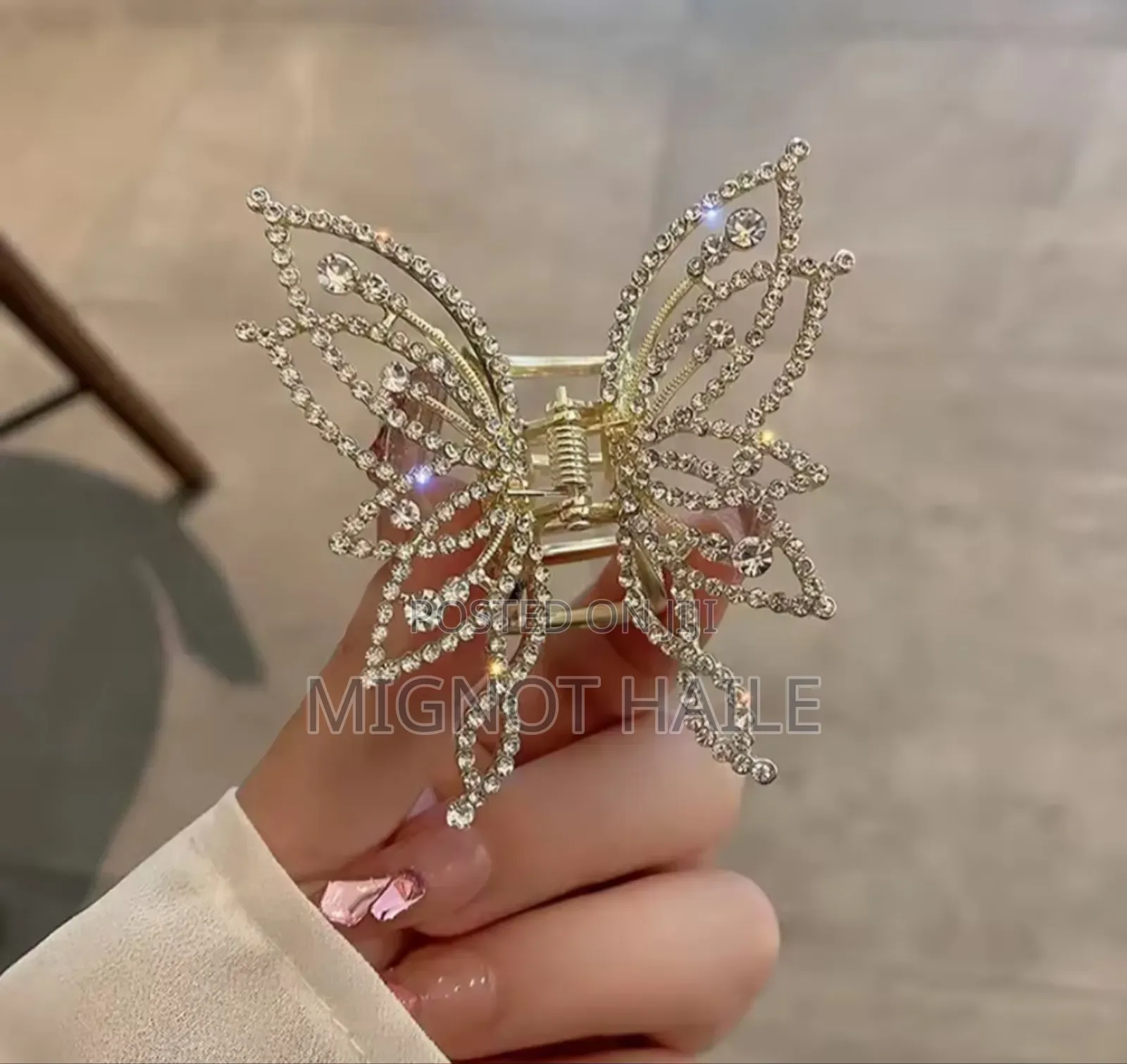 Hair Clip And Necklace