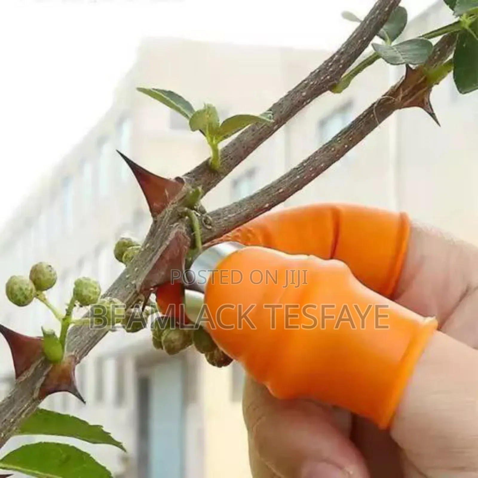 Silicone Thumb Cutter