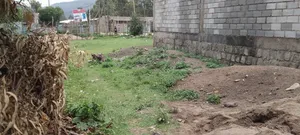 Photo - Land Plots for Rent
