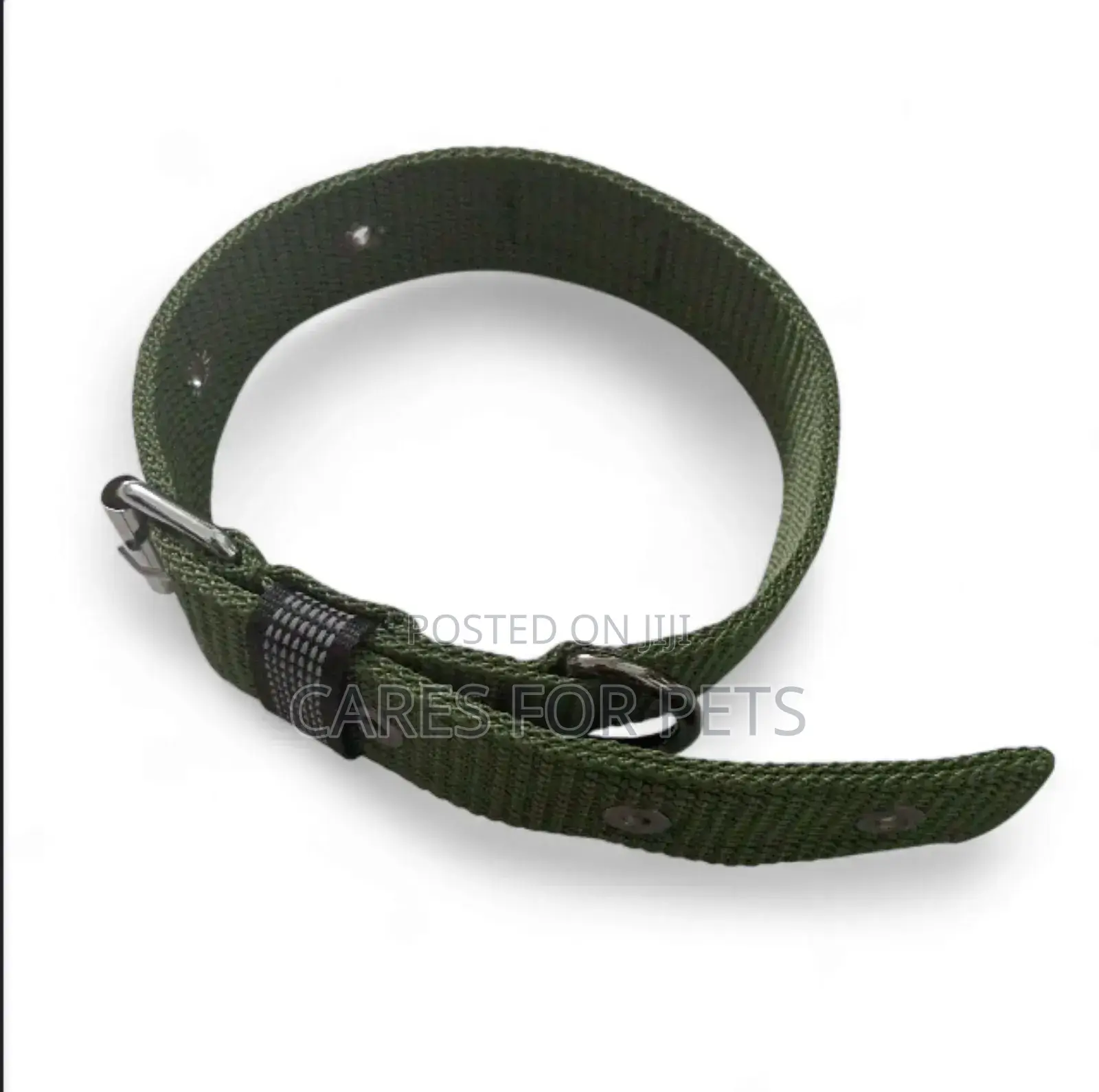 Durable Metal Belt Buckled Collar / የውሻ ኮላር