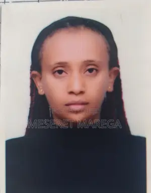 Photo - Senior Accountant