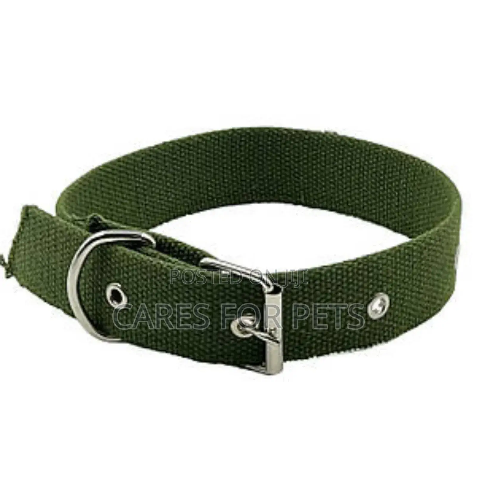 Durable Metal Belt Buckled Collar / የውሻ ኮላር
