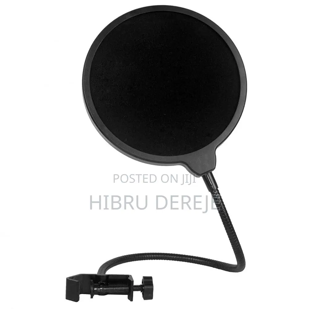 Mic Pop Filter