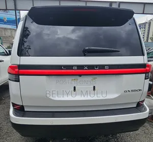 Photo - New Lexus GX 550h Hybrid AWD 2024 White