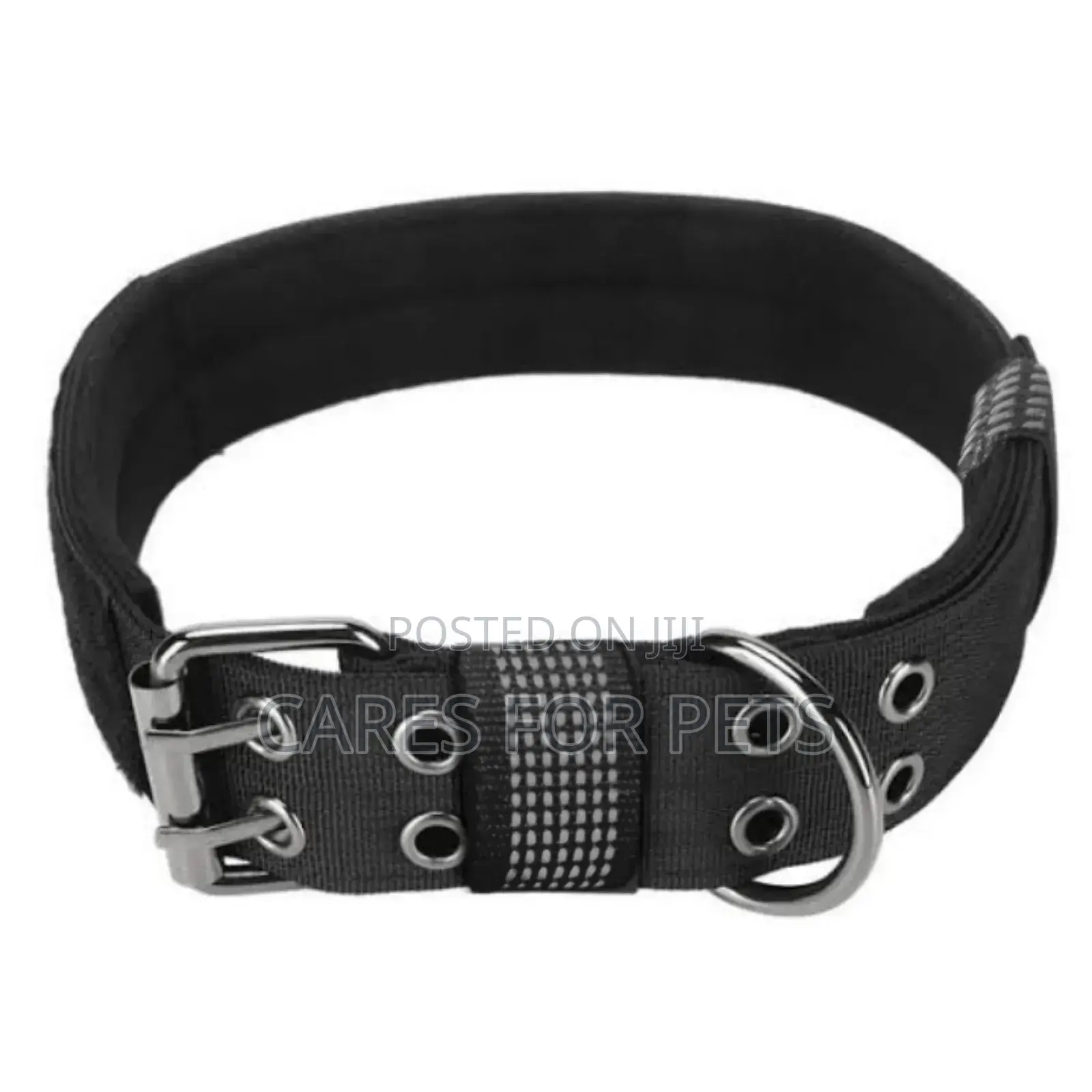 Dog Collar/ የውሻ ኮላር