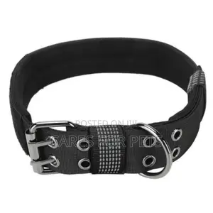 Dog Collar/ የውሻ ኮላር