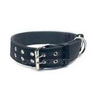 Dog Collar/ የውሻ ኮላር
