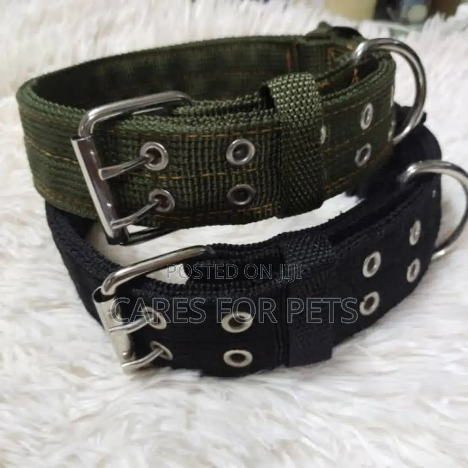 Dog Collar/ የውሻ ኮላር