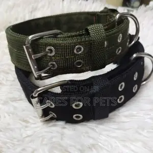 Dog Collar/ የውሻ ኮላር
