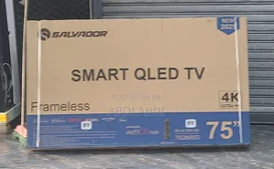 Salvador Tv 75 Inch Smart Framless
