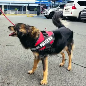 Photo - Top Harness_red