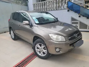 Photo - Toyota RAV4 2009 Brown