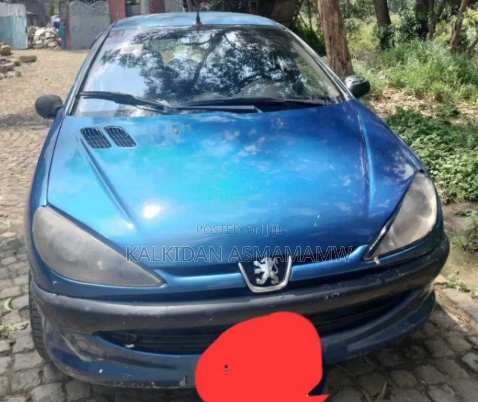 Peugeot 206 2008 Blue