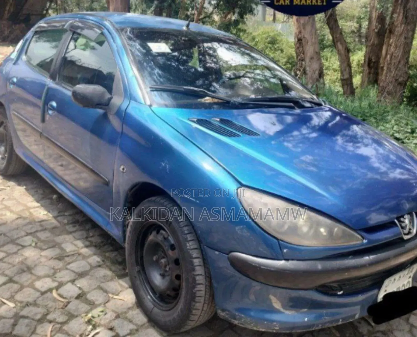 Peugeot 206 2008 Blue