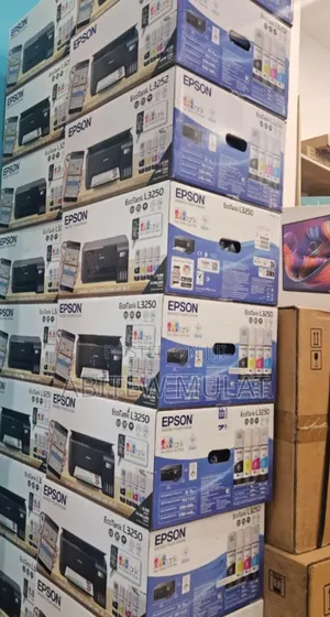 Photo - Epson Eco Tank L3250