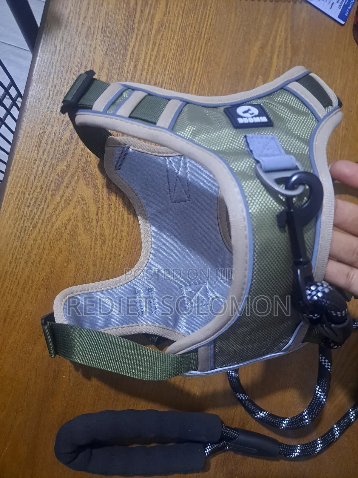 Dog Vest With Leash