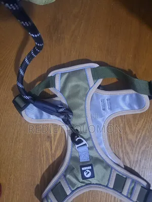 Dog Vest With Leash