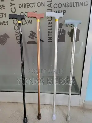 Photo - Old Man/Women Cane宁٦walking Stick٥珮shows Single-Point Canes