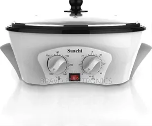 Roast Your Own Coffee at Home! Saachi Coffee Roaster