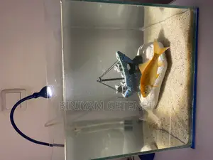 Photo - Aquarium (Fish Tank)