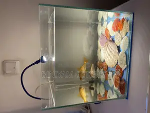 Aquarium (Fish Tank)