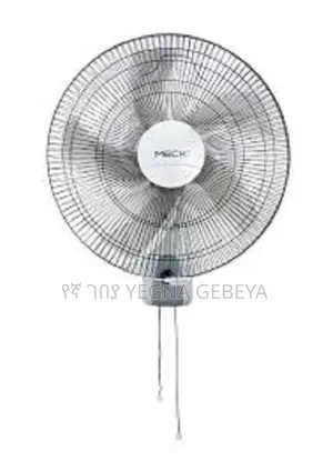 Prandtex 18" Wall Fan – Model Fb 45