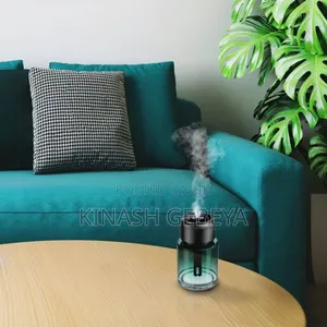 2in1 Green Lion Fragrance Air Diffuser