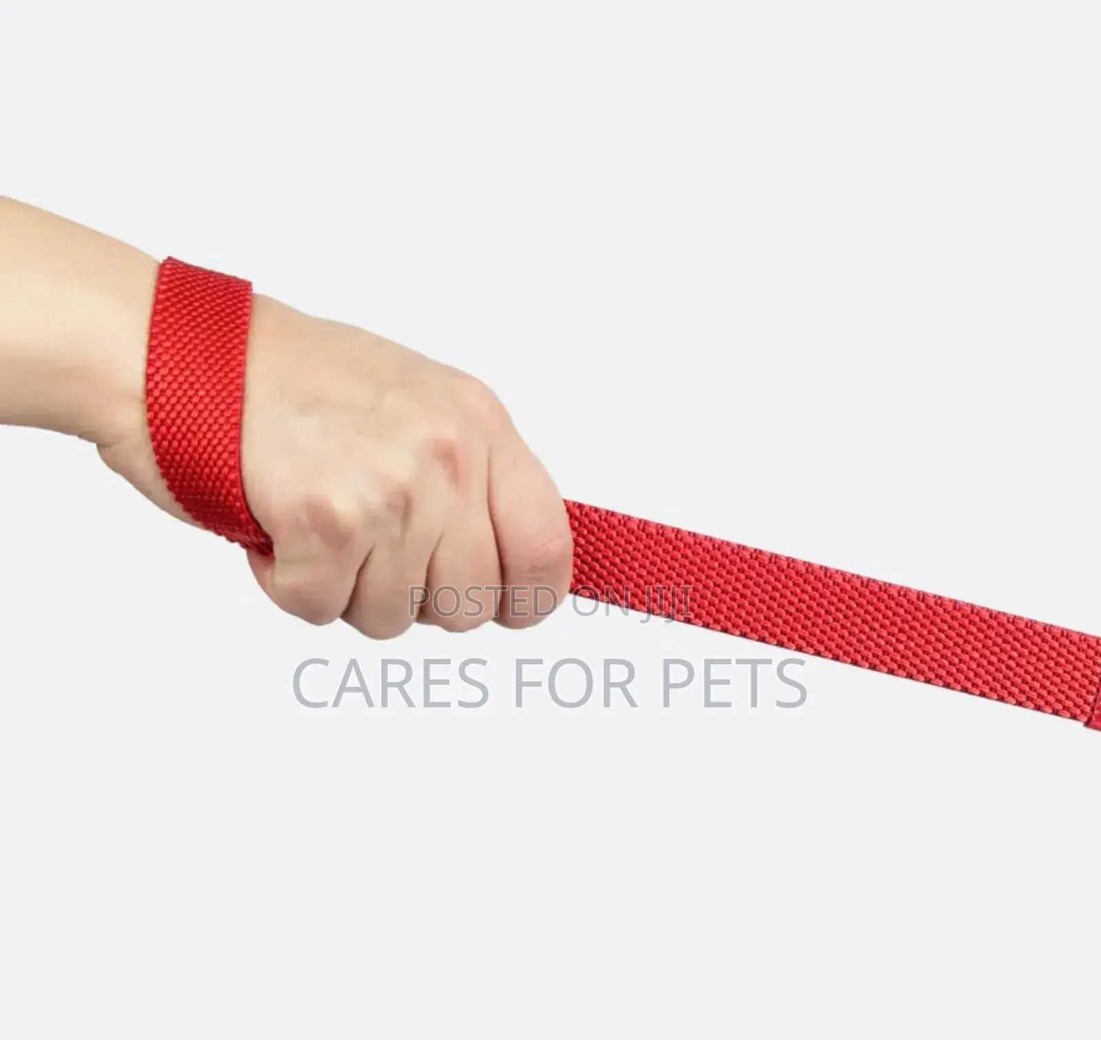 አዲስ! ጠንካራና ምቹ ቀይ የውሻ ማሰሪያ - ለሁሉም የውሻ አይነቶች • Leash • Doglead