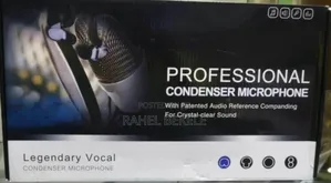 Photo - Professional Condenser Microphone
