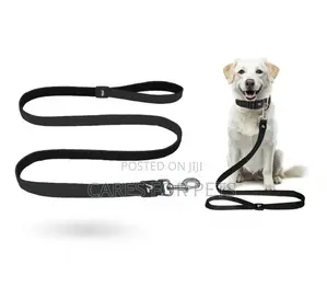 የውሻ መሳያቢያ Dog Lead/Leash