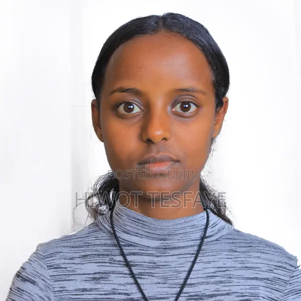 Part Time Accountant and Internal Auditor