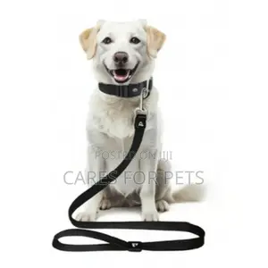 Photo - የውሻ መሳያቢያ Dog Lead/Leash
