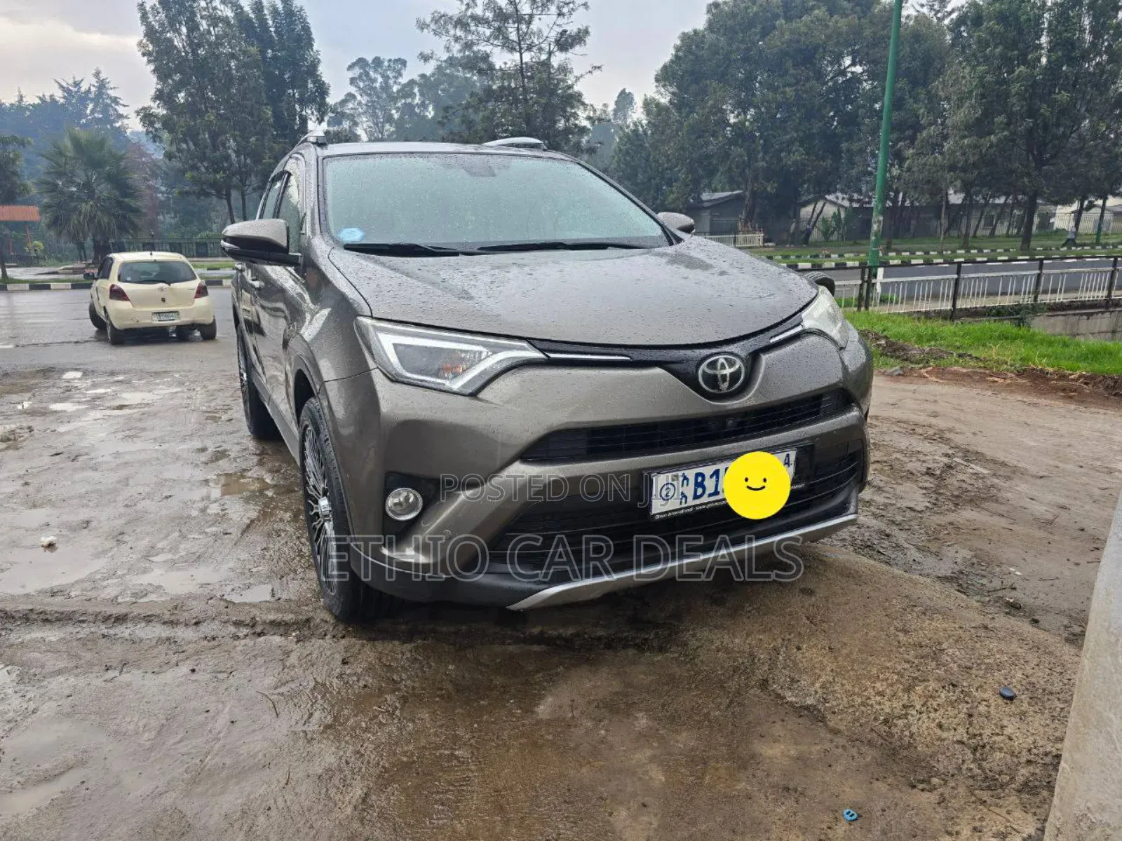Toyota RAV4 2017 Brown